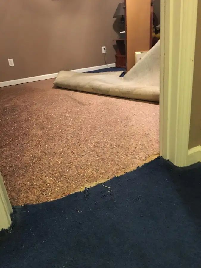 Carpet pad removal revealing water damage during Drying & Dehumidification in Picture Rocks