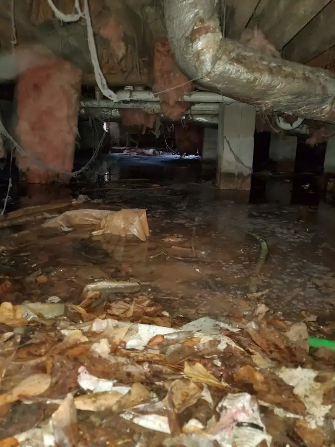 Crawl space flood assessment for Commercial Water Damage Restoration in Picture Rocks